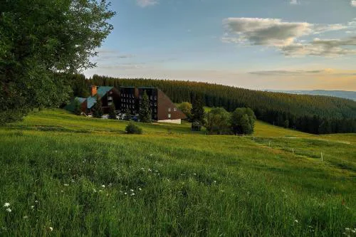 Hotel Tetřeví Boudy