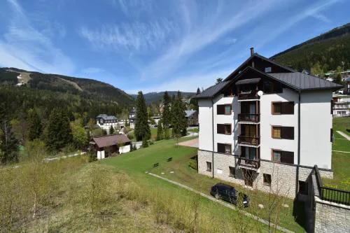 Apartment Dalibor II with private entrance and private garage