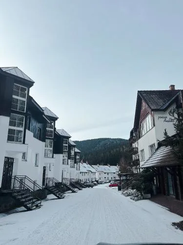 Apartment Na Skále CLOSE TO CITY CENTER & SKI LIFT