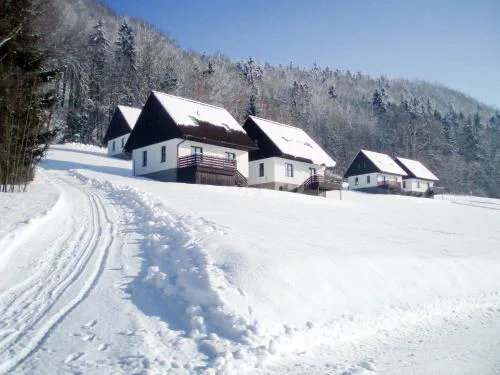 Holiday Home Stárkov by Interhome