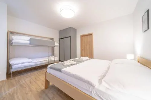 Apartmán Vlčice 419