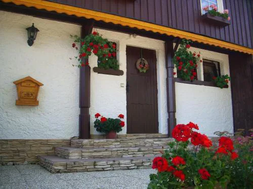 Apartment Herlikovice