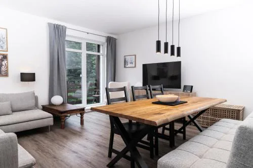 Cosy and Modern Apartment Labska Spindl