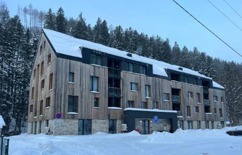 Apartmán Herlíkovice 303