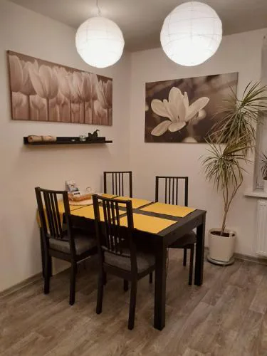 Apartment Riegerovka