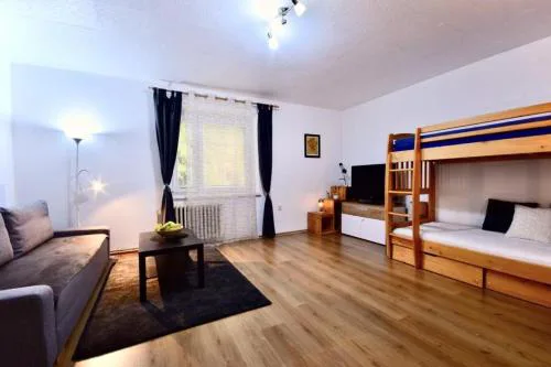 Apartmán Jáchymov - Klínovec
