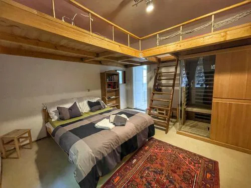 Apartment ProFamily - infrasauna by Interhome