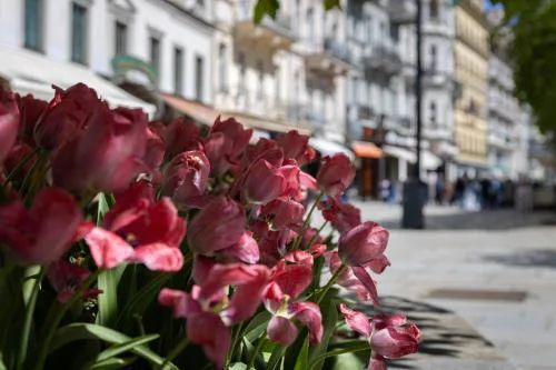 Abalda apartmány