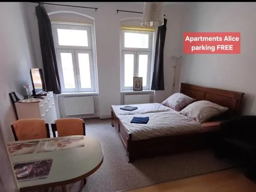 Ap 4 Alice suite near Vřídlo Collonade