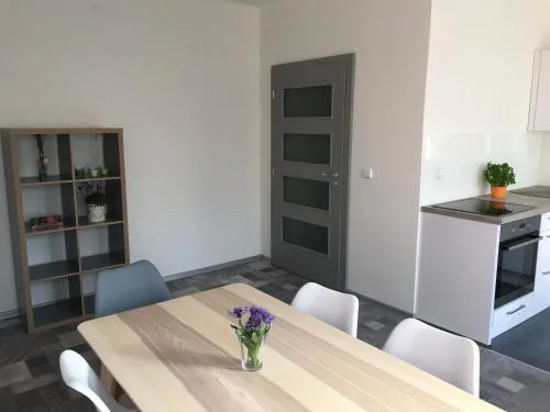 Apartmán Havlíčkova