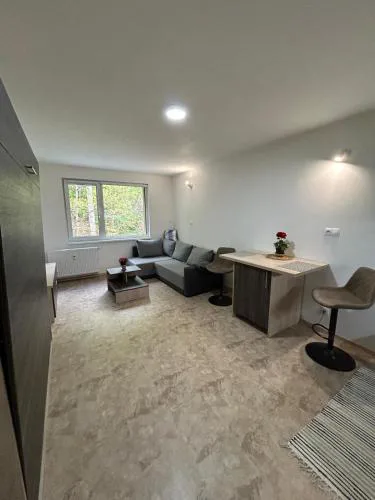 Apartmán pod Jáchymovem