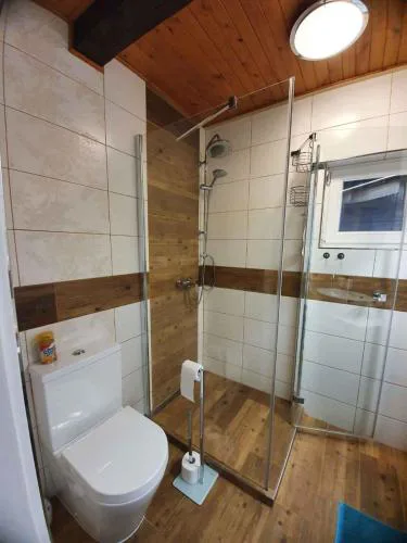 Holiday home Marianska - Erzgebirge 1668