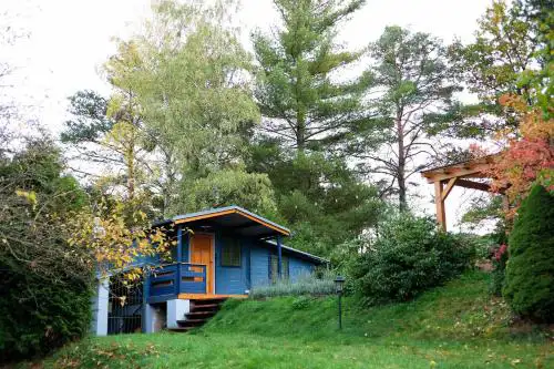 Moss Dreams Cabin