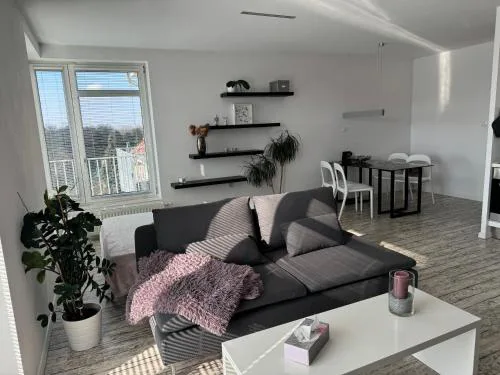 Apartment Husova