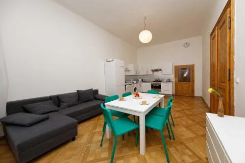 Apartment Manesova 4