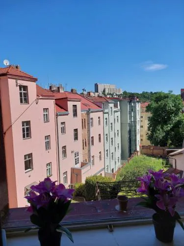 Apartment Near City Center!