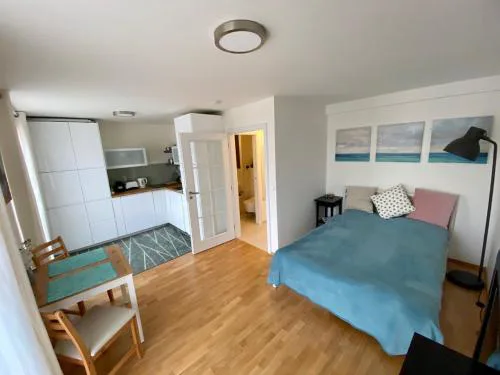 Apartment with a terrace and AC in the city center
