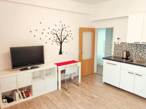 Apartment Žižkov