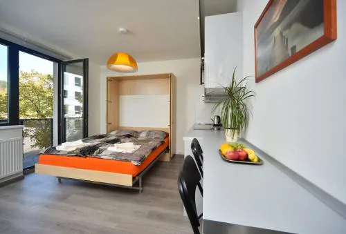 Appartment Waltrovka, free parking
