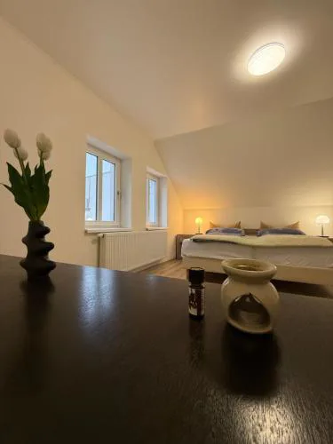 Big room in City Center at Historic Wenceslas Sq