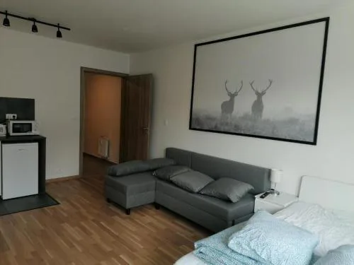 Brand new studio apartment #50 FREE PARKING close to center