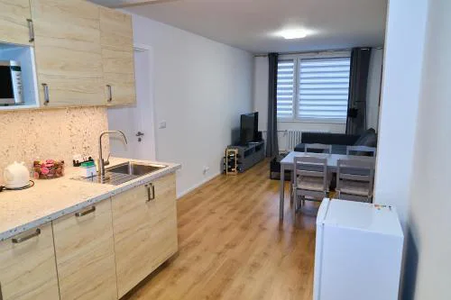 Čenětická Apartment