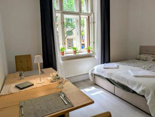 Convenient apartment in city center