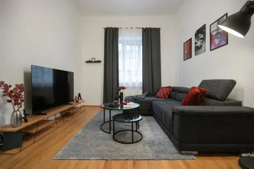 Downtown Comfort in a Spacious Apartment