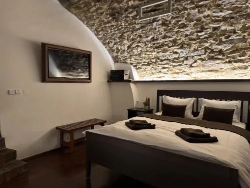 Historic Arch Apartment - Karlova Street