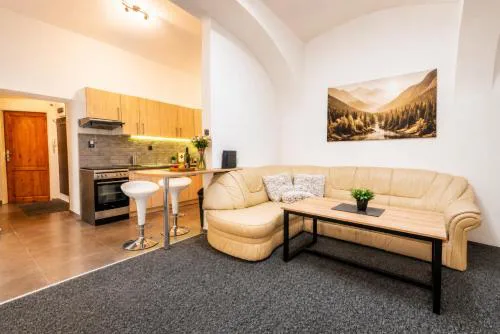 K&P Apartment in the center