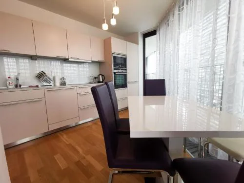 Krásný byt na Žižkově