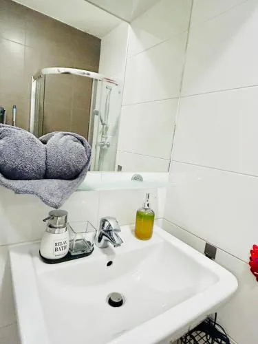 Luxury and cozy apartment Vinohrady Prague