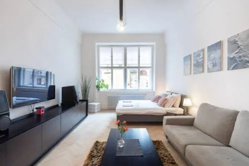 Luxury Apartment on Old Town Square
