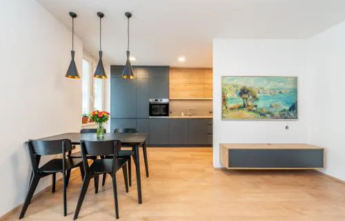 Luxury modern apartment near the metro - 10 minutes to the city center