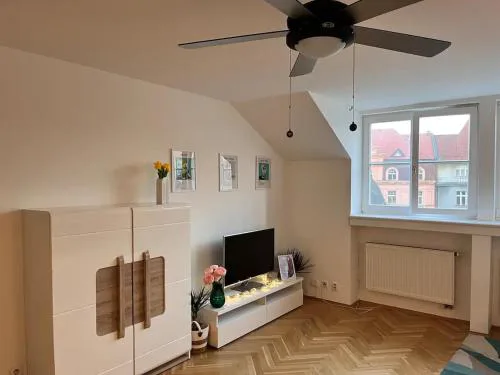 Modern apartment in the city centre