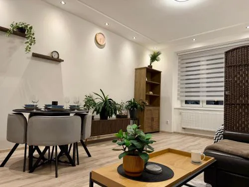 Modern flat in Central Prague