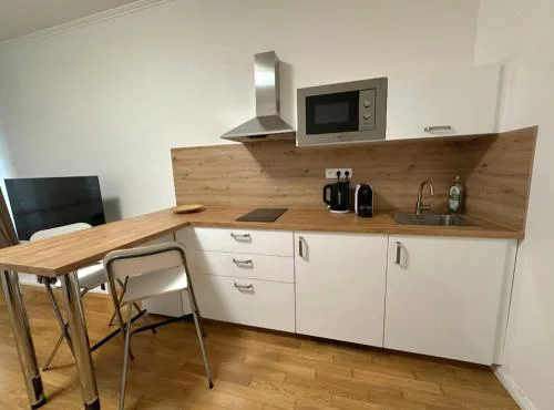 Modern Riverside flat