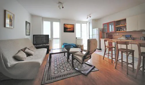 Pleasant apartment close to city center