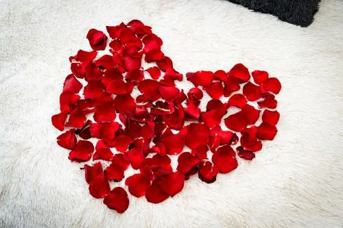 Red Rose Residence