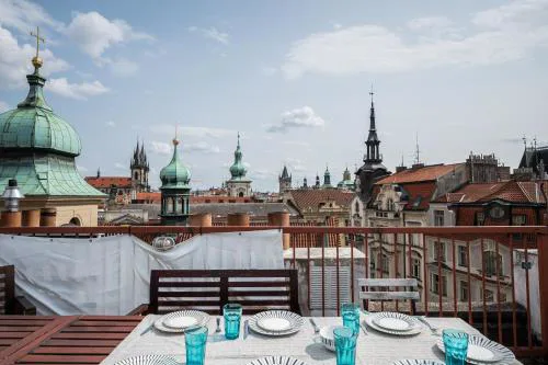 Roof View and Parking Assistance