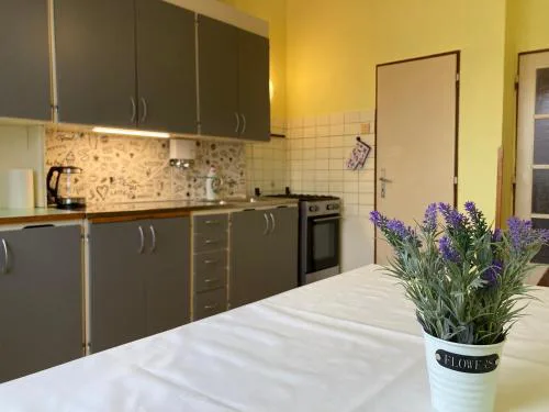 Spacious apartment - free parking!