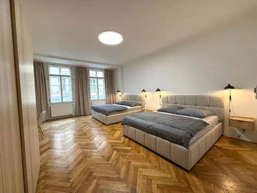 Spacious Apartment on Wenceslas Square