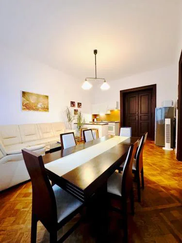 Spacious cozy apartments in centre
