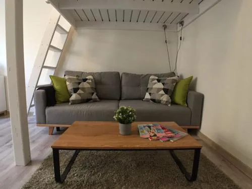 STYLISH FLAT IN PRAGUE - Vinohrady