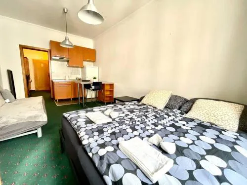 THE BOHEMIA SLAVOJ APARTMENT Vyšehrad