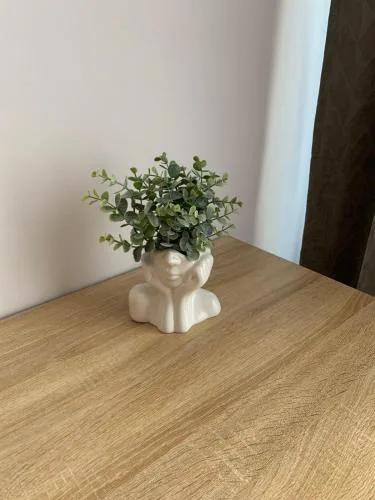 Two-room apartments