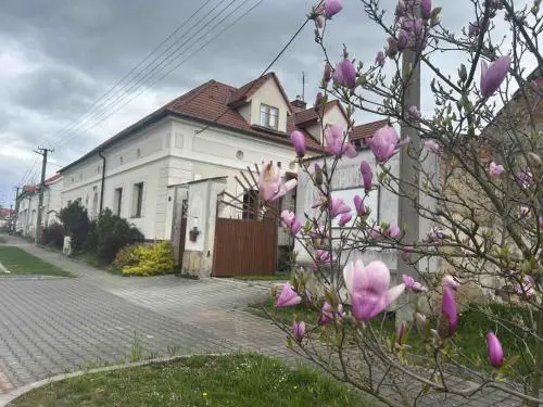 Privát u koní