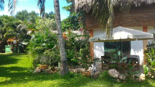 Studio surrounded by nature