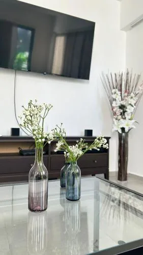 Moderno y acogedor apartamento