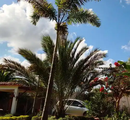 Villa Dupi